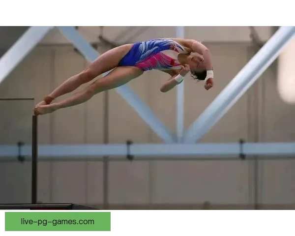 优雅飞翔：探秘跳水技巧的魅力