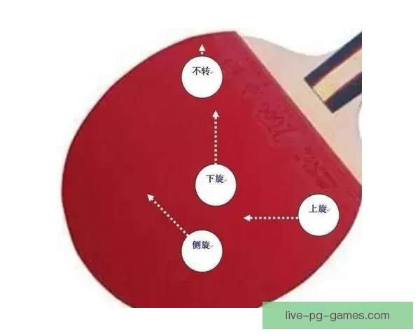 乒乓球初学者完全指南及技巧分享