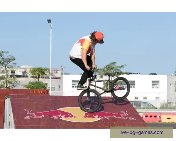 BMX冠军：挑战极限，创造传奇