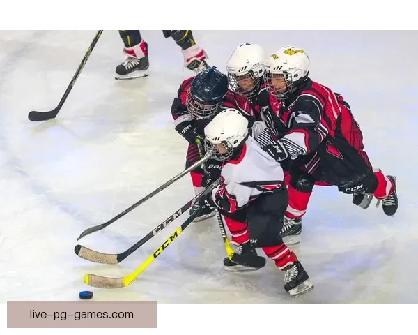 冰球比赛激烈对决，精彩终盘胜负分晓