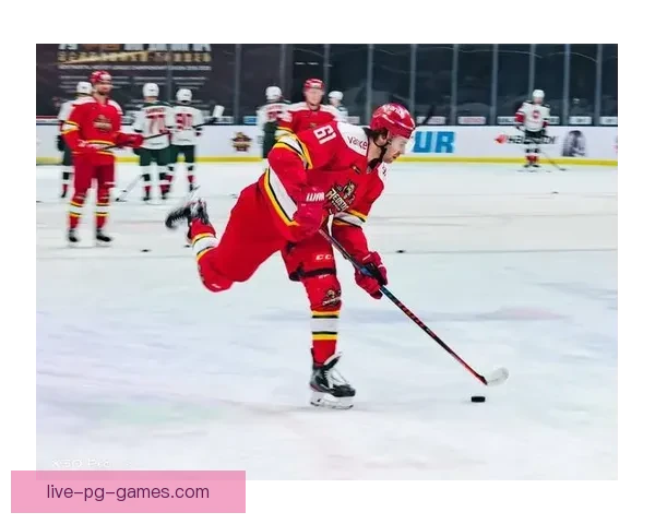 冰球全天候实时战报,精彩瞬间尽收眼底 冰球全天候实时战报,精彩瞬间尽收眼底