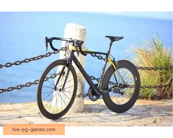 冲浪爱好者必知的10条实用规则