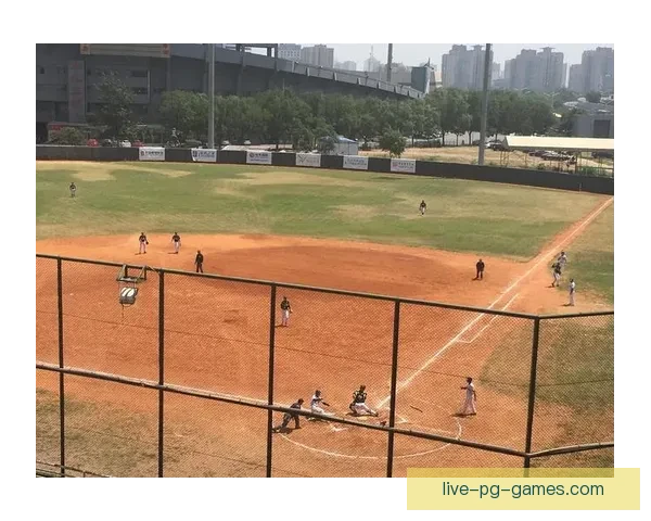 如何制定有效的棒球投注策略