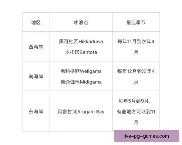 学会冲浪：初学者入门指南
