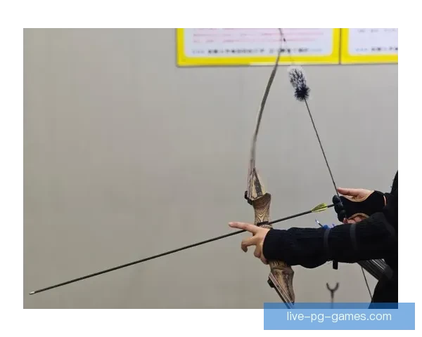 射箭比赛：射中靶心的极致力量和技巧