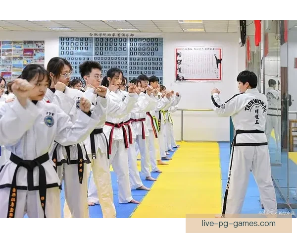 探讨传统跆拳道排名体系的优缺点