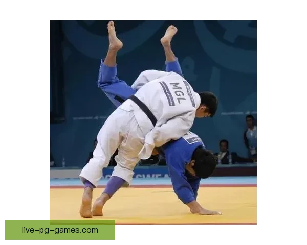 柔道规则解读与应用技巧分享