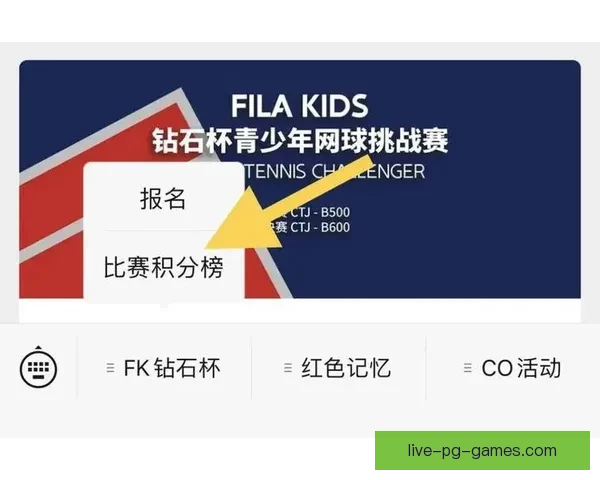 最新网球积分榜公布情况详解