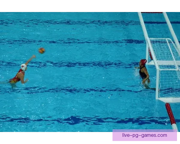 游泳实时比分一网打尽