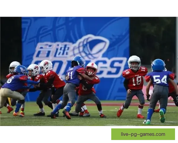 橄榄球积分榜大揭秘：谁将脱颖而出？