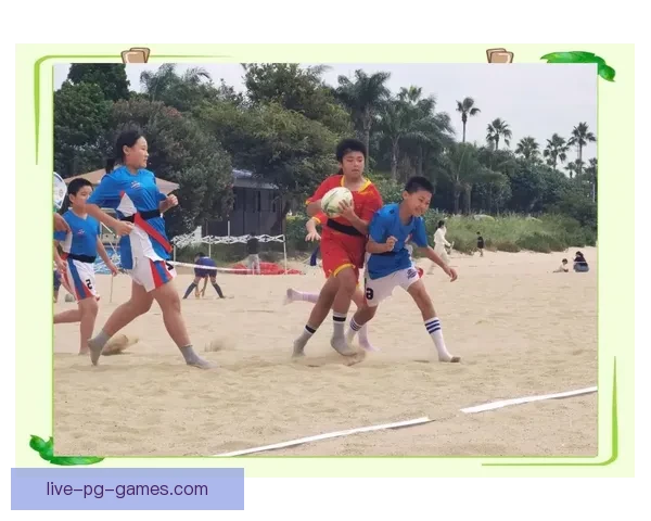 橄榄球冠军的荣耀与辉煌