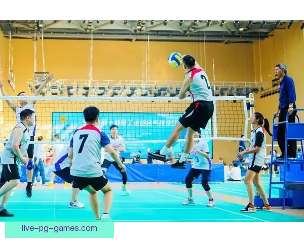 瞬间回放：重温精彩排球赛事