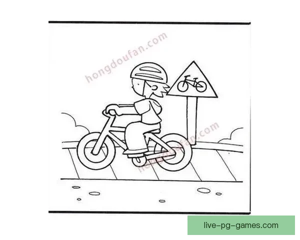 自行车规则：保护骑行安全，共建和谐出行环境