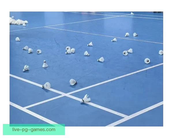 羽毛球纪录：记录世界羽毛球发展演变的珍贵时刻