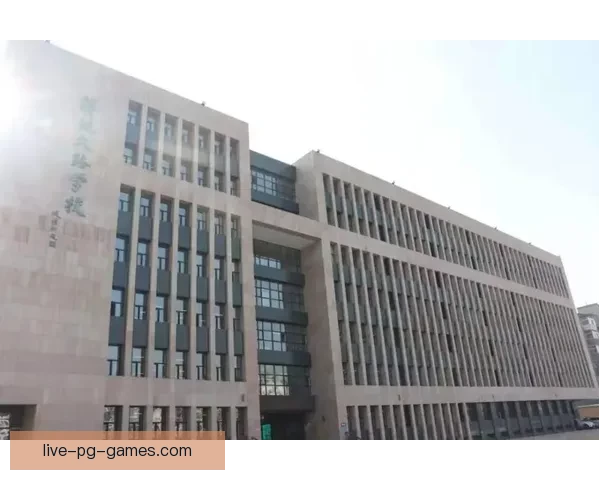 篮球数据分析：洞悉比赛背后的故事