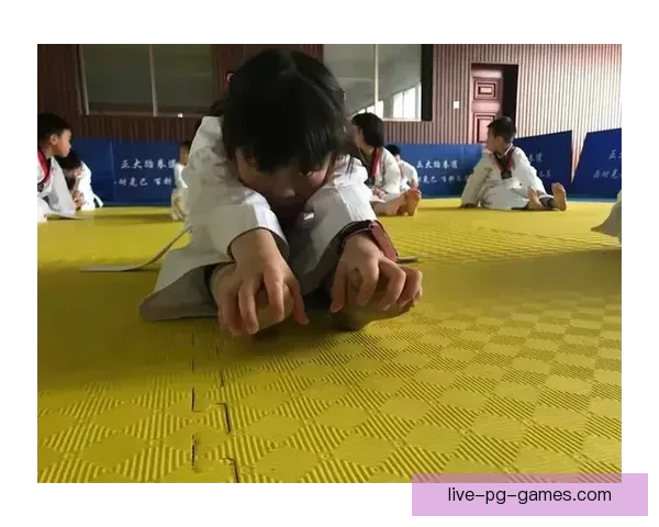 跆拳道源流溯源：传承与演变析论