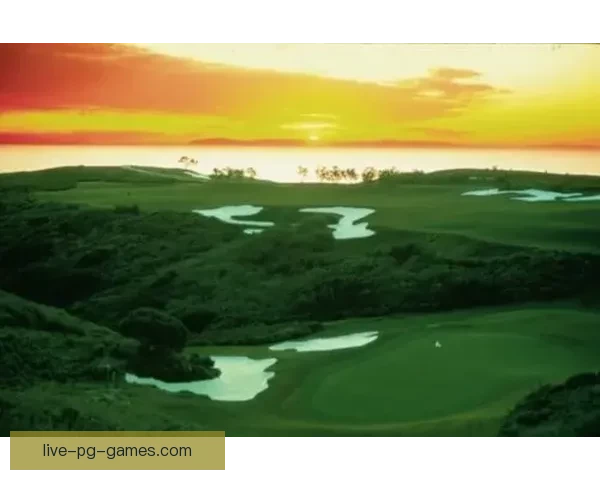 高尔夫世界纪录大揭秘：挑战极限，刷新辉煌